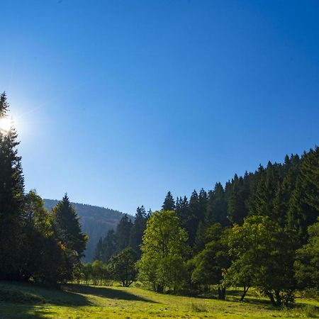 The Conscious Farmer Bed And Breakfast Sauerland Willingen  Exteriér fotografie