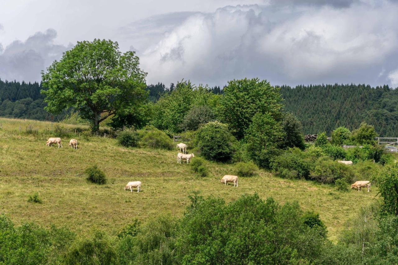 The Conscious Farmer Bed And Breakfast Sauerland Willingen  Exteriér fotografie
