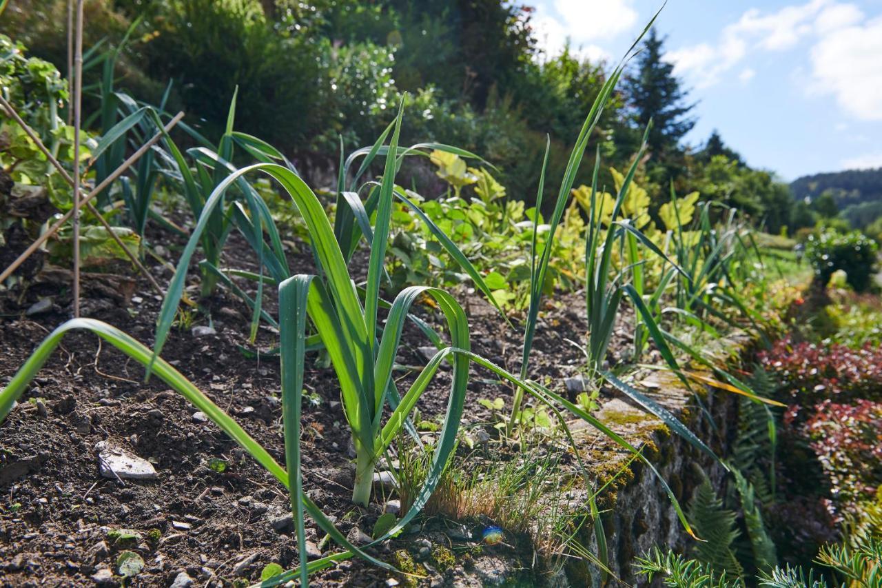 The Conscious Farmer Bed And Breakfast Sauerland Willingen  Exteriér fotografie