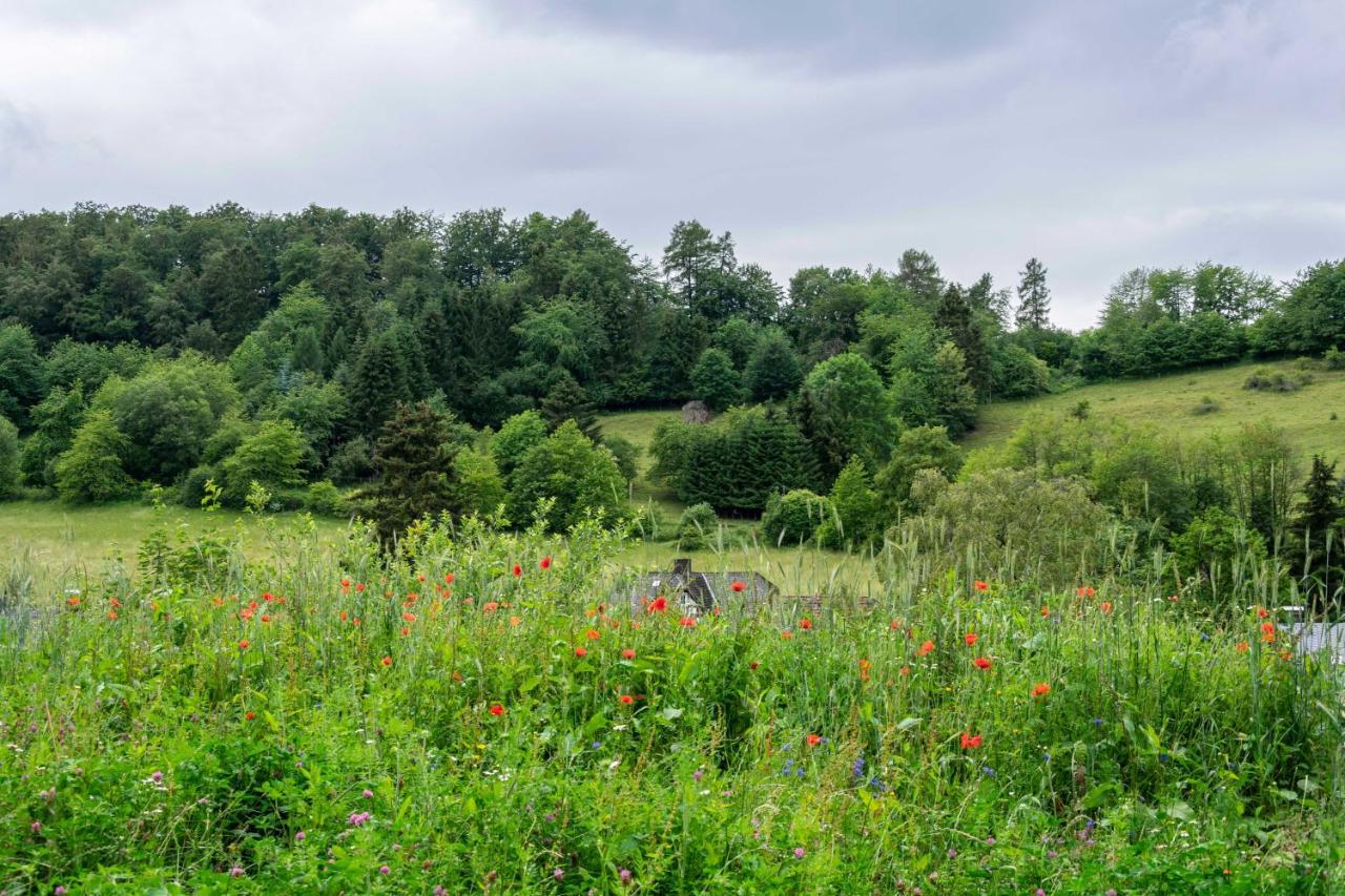 The Conscious Farmer Bed And Breakfast Sauerland Willingen  Exteriér fotografie
