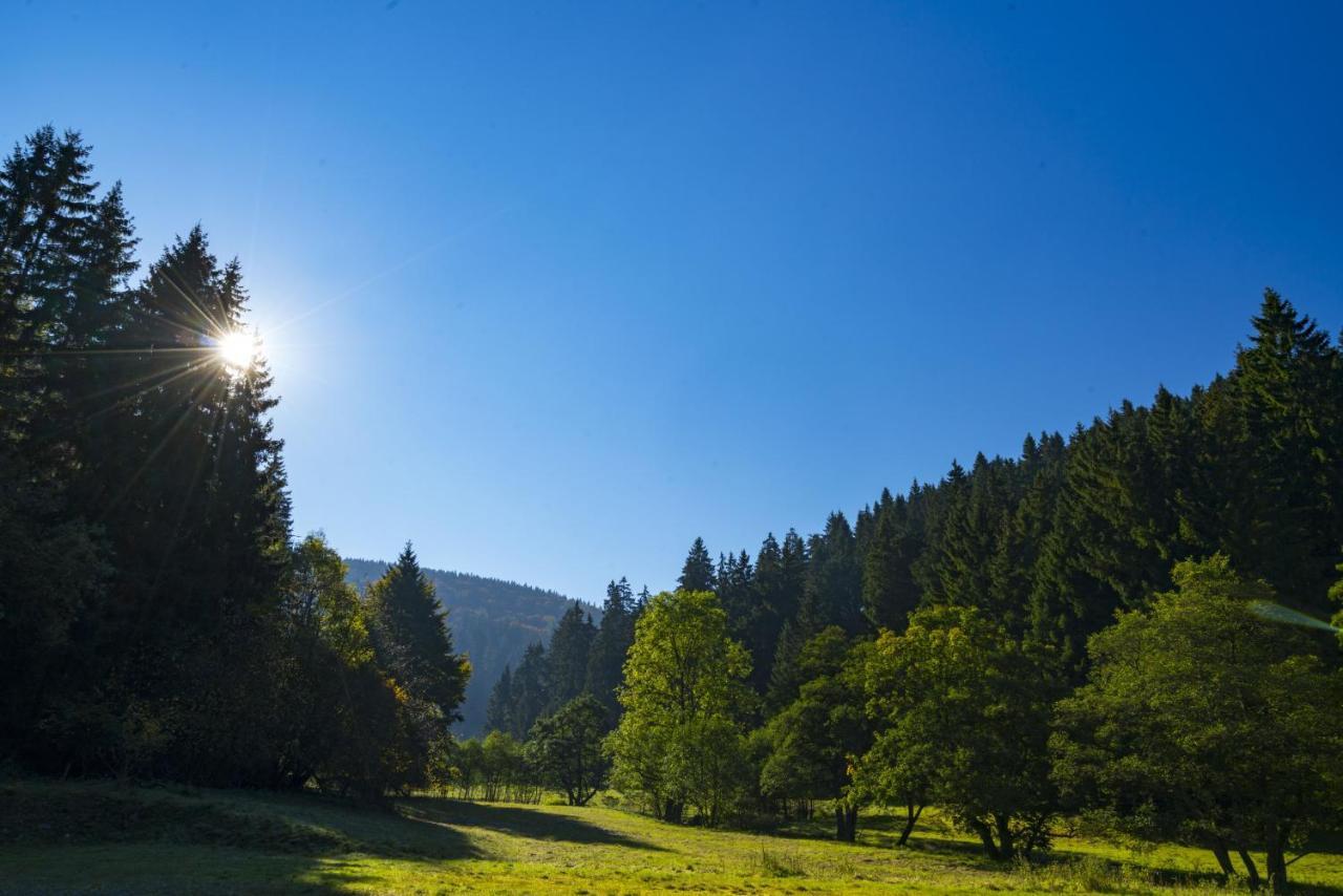 The Conscious Farmer Bed And Breakfast Sauerland Willingen  Exteriér fotografie